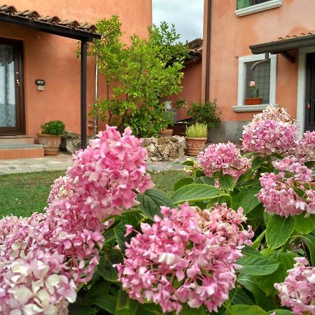 B&B Dama Sarzana Buitenkant foto