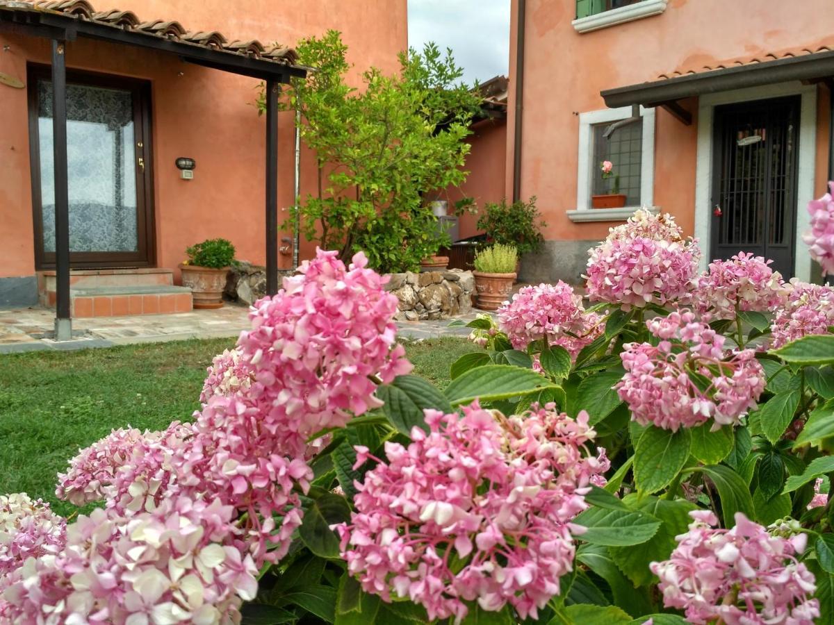 B&B Dama Sarzana Buitenkant foto